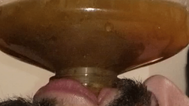 Devoted Human Toilet